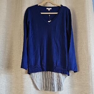 Women's Cobalt V-Neck Sweater Top